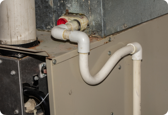 disinfect ac condensate drain line